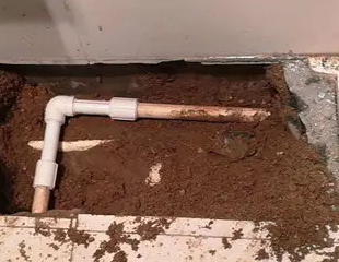 江陵测漏水哪家好