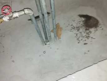 江陵卫生间测漏水价格明细