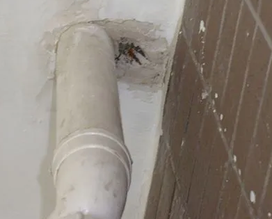 江陵漏水检测哪家好